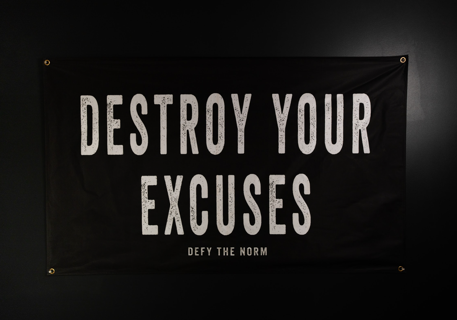 Destroy Your Excuses - Flag